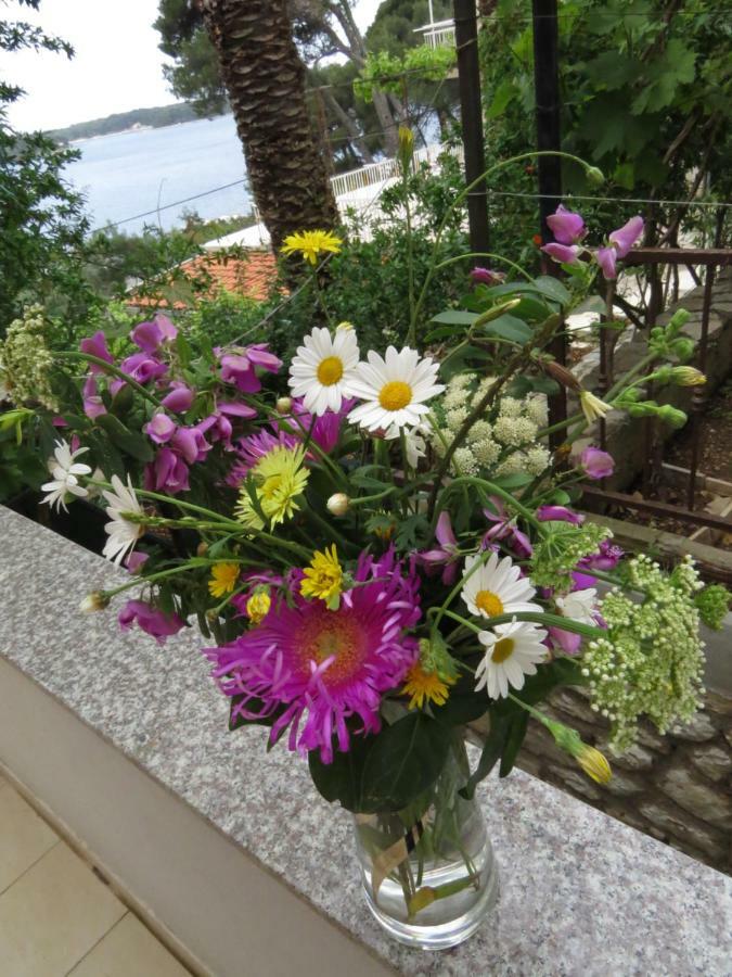 Great Apartment Mali Losinj Ngoại thất bức ảnh